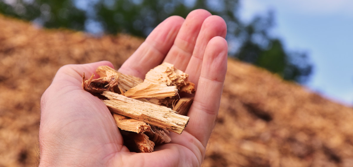 cippato di legno